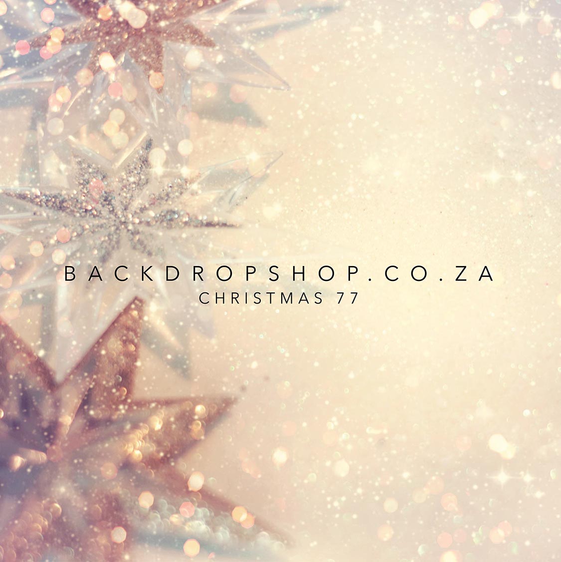 CHRISTMAS 77 BACKDROP | Backdrop Shop