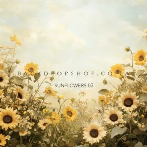 Sunflowers 03 Backdrop