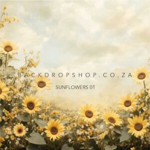Sunflowers 01 Backdrop