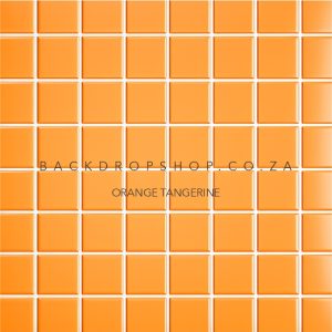 ORANGE TANGERINE FLATLAY