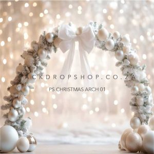 PS Christmas Arch 01