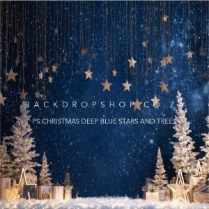 PS Christmas deep blue stars and trees