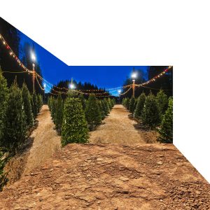 Christmas Room Setup 10