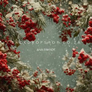 Christmas Love newborn mini floor drop