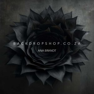 Dark Dahlia newborn mini floor drop