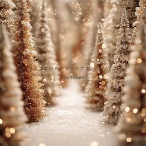 Winter Pathway newborn mini floor drop