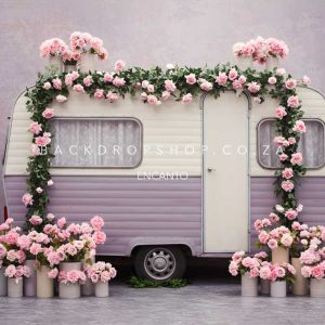 Encanto 339 - Caravan balloons pink pastel birthday