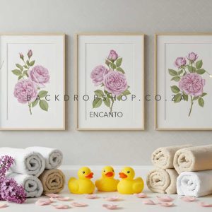 Encanto 387 - Bathroom rubber ducks