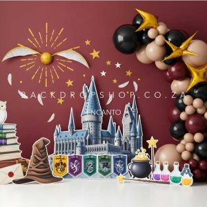 encanto harry potter